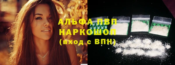 бошки Алзамай