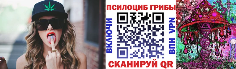 сколько стоит  Кукмор  Псилоцибиновые грибы мицелий 